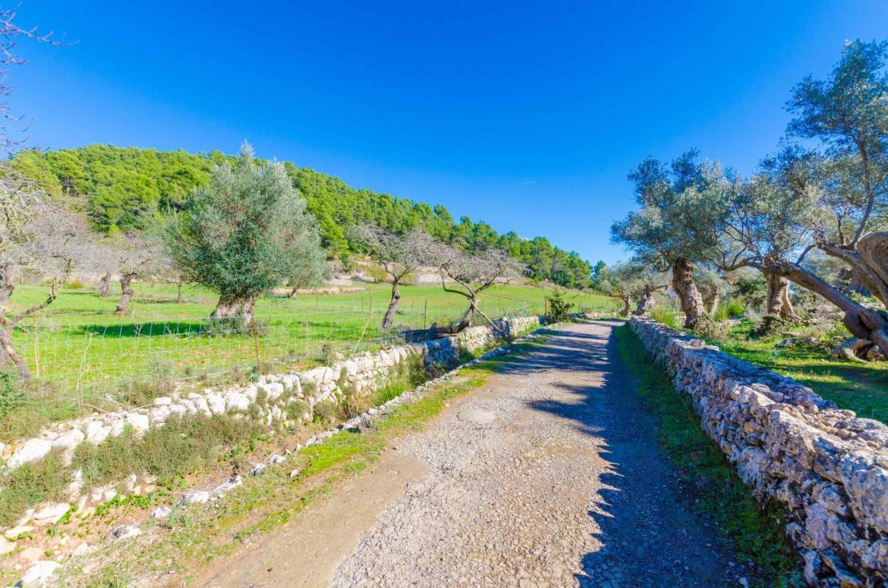 Villa Sobreamunt à Esporles Extérieur photo
