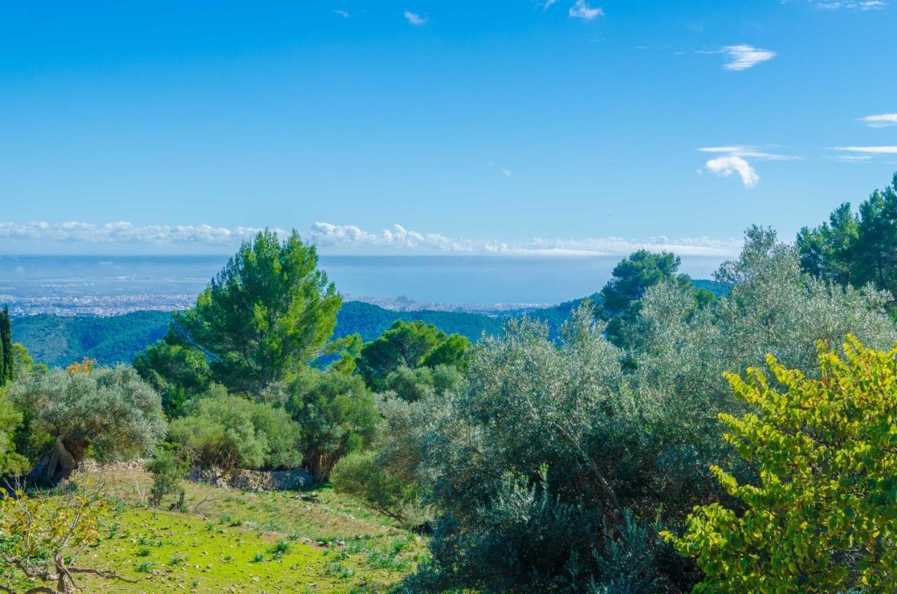 Villa Sobreamunt à Esporles Extérieur photo